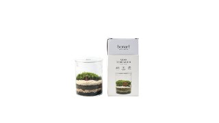 【 Bonart｜Moss Terrarium DIY Kit 】