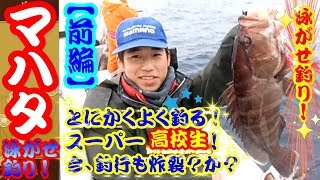 【ライブベイト】vol. 18/2【前編】（小鯵の泳がせ釣り）で 根魚狙い！　カサゴ（アラカブ）・マハタ（タカバ）・鰆も釣れた！