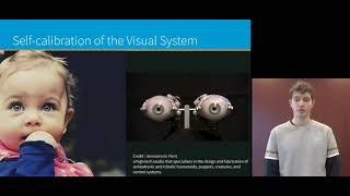 Self-Calibrating Active Binocular Vision via Active Efficient Coding with Deep Autoencoders