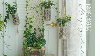 Making ivy vines, Marramé , plastic bottle, hanging plant: : Plastic container-ivy vines, PET bottle