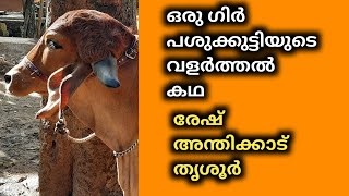 ഒരു ഗിർ പശുക്കുട്ടിയുടെ വളർത്തൽ കഥ | രേഷ് അന്തിക്കാട്