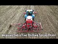 Weaving SabreTine Drilling Lynx Spring Beans