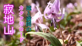 寂地山　滝と満開のカタクリに癒される