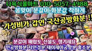 다육이 화분 쇼핑 🛍(25.2.22)다육식물마트 010-5057-4988 🌸가성비 최고 베란다 사이즈로 활용도 높은 예쁜 화분 !! 🤗