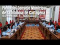 Pleno del Consejo Municipal de la Infancia de Cartagena 2024