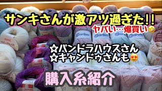 毛糸爆買いしてきました😍サンキさんが激アツ⁉️パンドラハウスさん💓キャンドゥさん💓も【購入品紹介】【編み物】