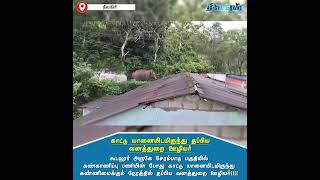 கூடலூர் அருகே கண்காணிப்பு பணியின் போது காட்டு யானையிடமிருந்து தப்பிய வனத்துறை ஊழியர்!!!!