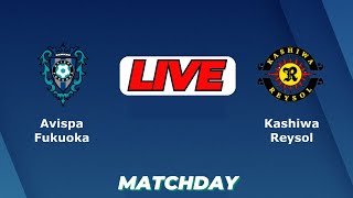 アビスパ福岡対柏レイソル ライブ日本J1リーグサッカー試合今日 | Score | Feb 15 2025