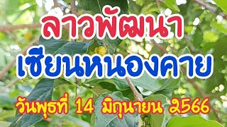 ลาวพัฒนา เซียนหนองคาย วันพุธที่ 14 มิถุนายน 2566 ดูไว้เป็นแนวทางครับID line0989918208