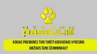 Gyvūnų pasaulis: kokias priemones turi turėti kiekvienas vyresnio amžiaus šuns šeimininkas?