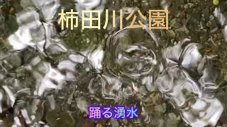 【水の万華鏡】踊り、対話する水