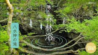 聴く森林浴 | 戸隠神社 奥社参道 | 八水神の滝 | 水音・新緑 | 長野県 | 1/fゆらぎ 自然音 | レストインコラボ | Water God's Falls in Togakushi