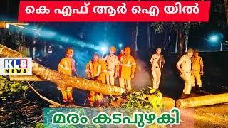 വനംവകുപ്പിന്റെ അനാസ്ഥ കെഎഫ്ഐ യിൽ വീണ്ടും മരം വീണു.