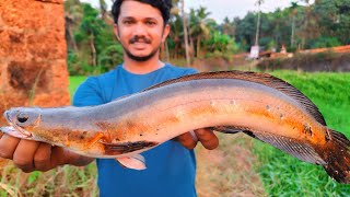 ചേറുമീന്റെ സ്ട്രൈക്ക് കണ്ട് കിളി പോയി | Bulls Eye Snake Head Fishing