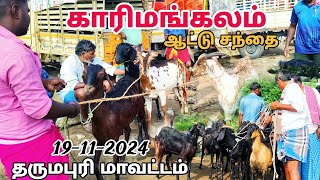 goat market karimangalam ஆட்டு சந்தை காரிமங்கலம் சந்தை தருமபுரி மாவட்டம்