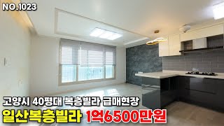 고양시 일산복층빌라 1억6500만원 초급매현장