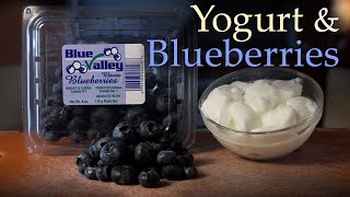 Blueberries \u0026 Yogurt