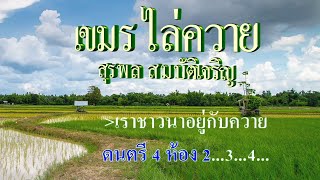 ♬เขมรไล่ควาย สุรพล สมบัติเจริญ #karaoke #คาราโอเกะ