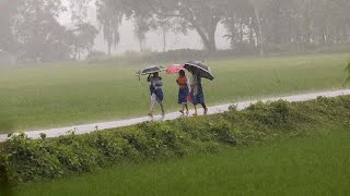 হঠাৎ গ্রামের চারদিকে বৃষ্টি এমন বৃষ্টি কখনো দেখিনি গ্রামে | গ্রামের সময়