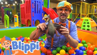 Blippi Visits Kinderland Indoor Playground! | Fun and Educational s for Kid