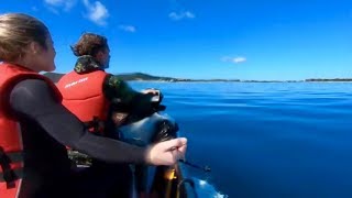 Jet ski spearfishing, Noosa