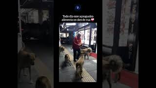 Ele Alimenta os Cachorros de Rua Todos os Dias ❤️