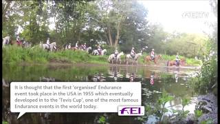 The Quest for Success at The Longines FEI World Endurance Championship 2012 Pt 2