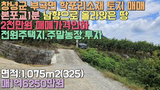 매물번호 313번/창원 본포교 1분,2천만원 매매가격인하 급매물/창녕군 부곡면 학포리소재 토지 매