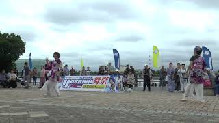 第10回いわき・ら・ら・ミュウYOSAKOI舞祭　中島童里夢さん　第2会場演舞