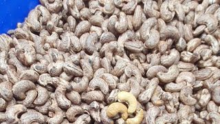 越南腰果出口 2022- Cashew Nuts For Export