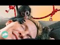 Rescue Monkey Acts Like Toddler and Forms Special Bond With Man | Wild Cuddles