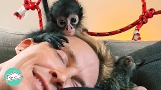 Rescue Monkey Acts Like Toddler and Forms Special Bond With Man | Wild Cuddles