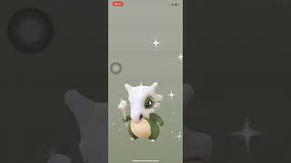 2020.11.12 Pokemon Go 孵蛋 異色 卡拉卡拉