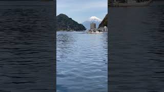 船上限定の絶景！淡島と内浦（駿河湾）の岬に挟まれ、海に浮かぶような富士山の姿がとても印象的で美しい。#shorts