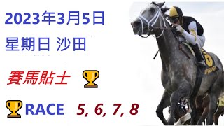🏆「賽馬貼士」🐴2023年 3 月 5 日💰 星期日  😁 沙田 香港賽馬貼士💪 HONG KONG HORSE RACING TIPS🏆 RACE  5   6   7   8      😁