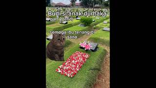 Bagian 7 | budi si anak durhaka part 2 (end) #kucingmeme #masukberandaa #fypシ゚