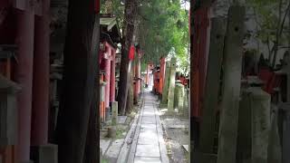 To the TOP of Fushimi Inari!