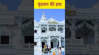 वृंदावन की हवा #vrindavan #krishna #facts #shortsfeed #shortvideo #shortsviral #trending #youtube