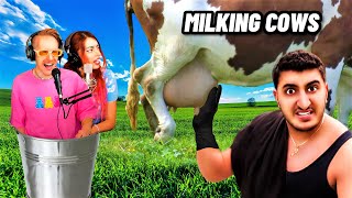 BBK | MILKING COWS Reaction