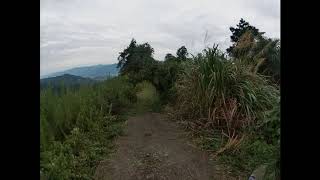 [和歌山県紀の川市] 林道 桜池～松峠～志野峠