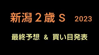 🐴新潟２歳 S 2023  最終予想 \u0026 買い目発表❗️