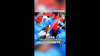 江蘇常州10之人工繁育小熊貓寶寶亮相 #Shorts