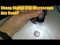 Cheap Digital USB Microscope Any Good?