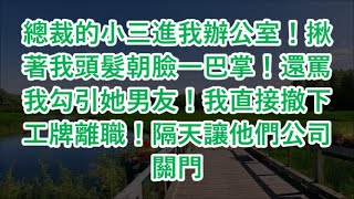 總裁的小三進我辦公室！揪著我頭髮朝臉一巴掌！還罵我勾引她男友！我直接撤下工牌離職！隔天讓他們公司關門