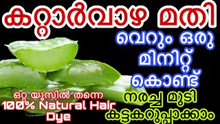 കറ്റാർവാഴ മതി നരച്ച മുടി ഒറ്റ യൂസിൽ തന്നെ കറുപ്പിക്കാം|Natural Hair Dye