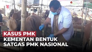 Kementan Ungkap Belum Ada Wacana Ganti Rugi Hewan Ternak Penyakit Mulut dan Kuku | OneNews Update