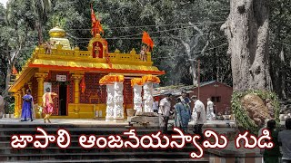 Japali Anjaneya Swamy Temple in Tirumala ll Fizz Flyer ll Kiran Varma