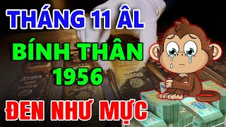 Tử Vi Tháng 11 Âm Lịch Tuổi BÍNH THÂN 1956: ĐEN NHƯ MỰC, Sự Nghiệp Lao Dốc, Rất Khó Khăn