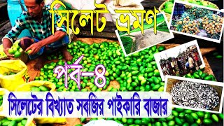 সিলেটের বিখ্যাত পাইকারি সবজির বাজার | পর্ব-৪|Visit our vegetable market in Sylhet trip | Episode-4