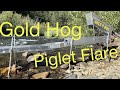 Gold Hog Piglet Flare